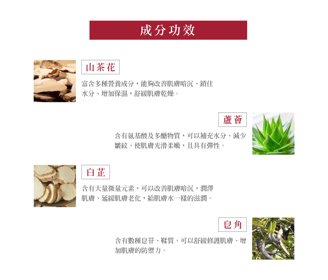 【溫和卸妝】山茶花卸妝水